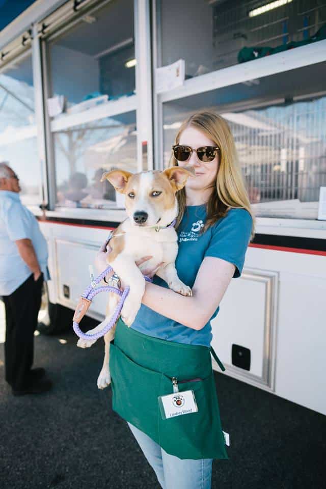 GBHS Adoption Event at Petsmart — GBHS